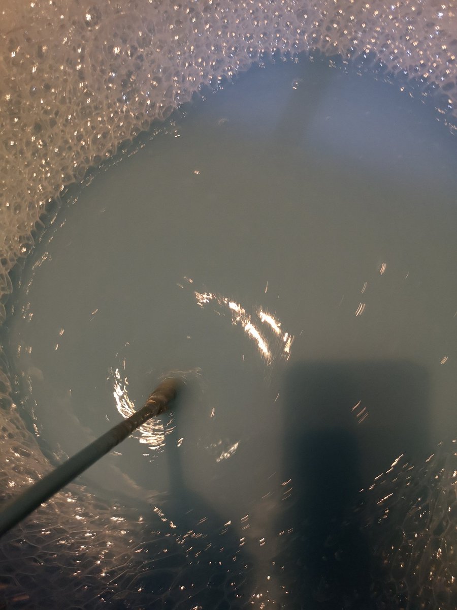 Gunge Wrestler (@gungewrestler) on Twitter photo 
