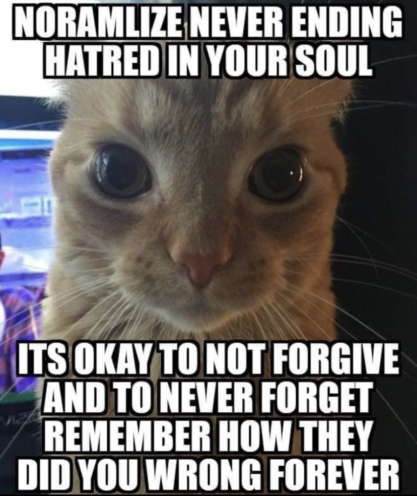 laifbladder's tweet photo. https://t.co/Mx3wndB4Df
