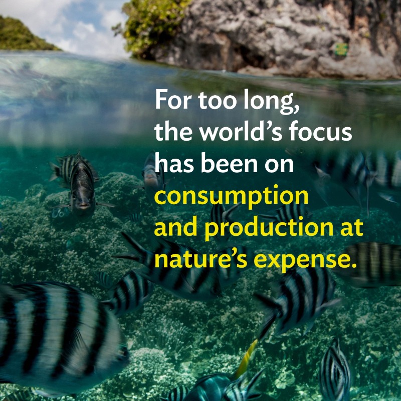 ADB_HQ's tweet photo. Did you know that nature-based solutions could lift 1 billion people out of poverty?

ADB is developing the framework that will enable us to value nature in Asia &amp; the Pacific ⤵️