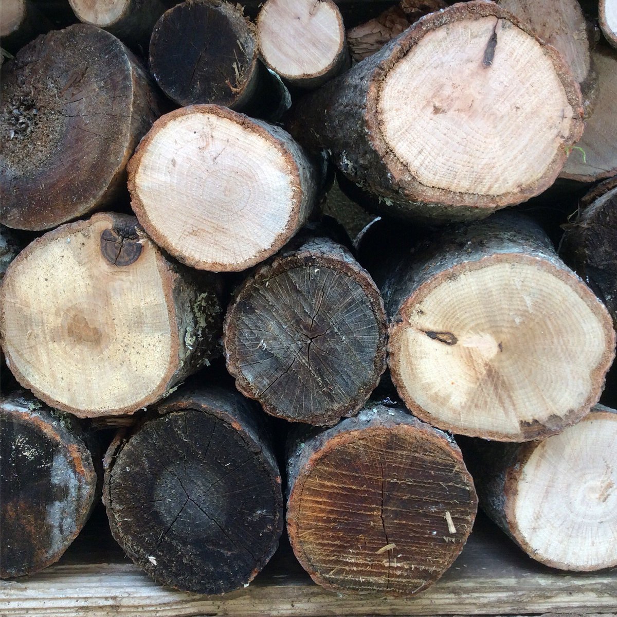 Babcat3's tweet image. Motivi arborei che vengono fuori accatastando quintali di legna con @CatteAndrea   
#arborealpattern #winterpattern #firewood #warmhome #homegarden #sardinianwinter