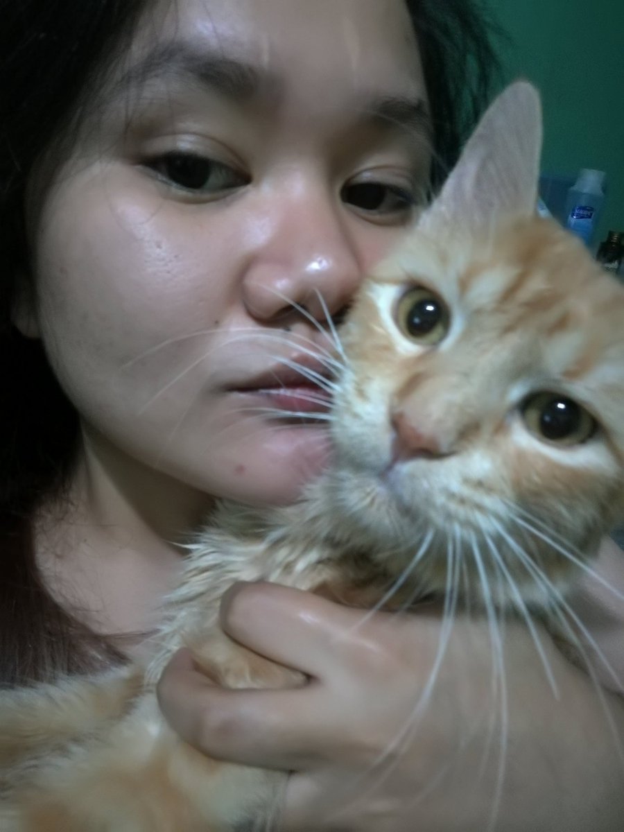 golda_neko's tweet photo. I gonna miss your big paws na hirap mahawakan at di ka magiging duguan.. https://t.co/MGIvkV2Wty