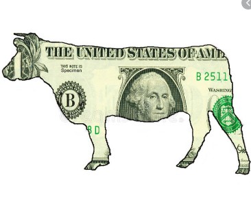 Farms.com Beef News tweet media