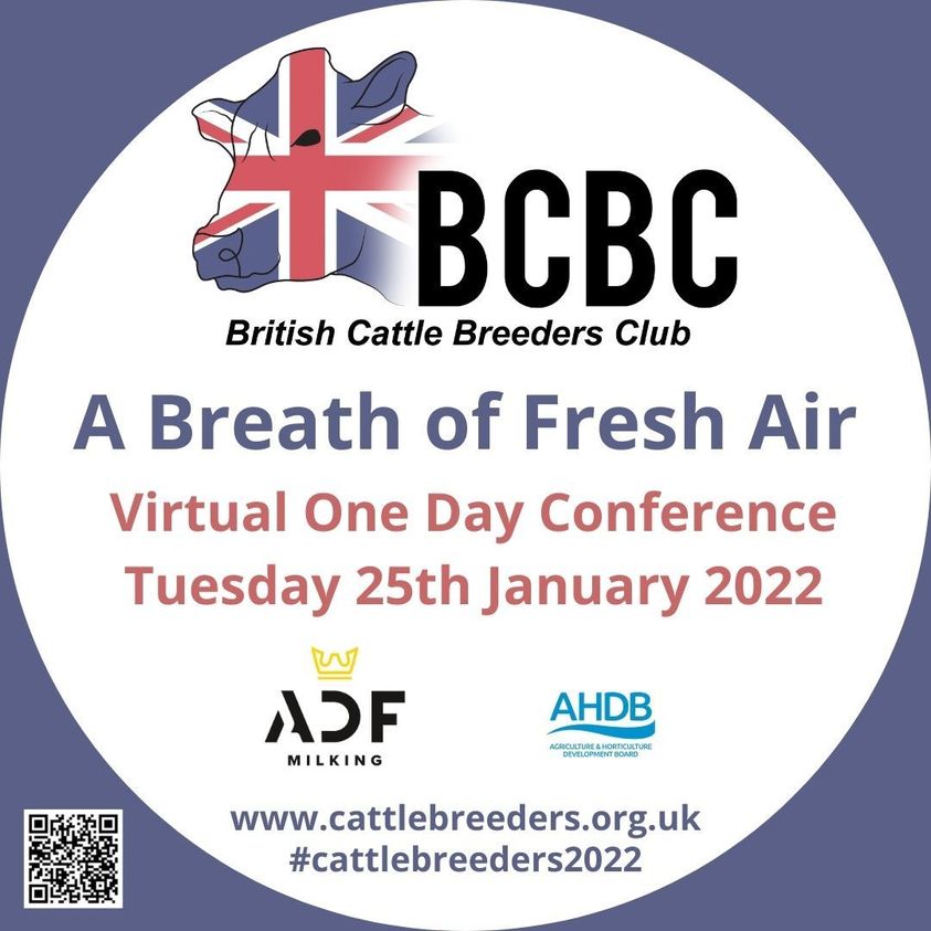Save the date: The British Cattle Breeders Club Conference @CattleBreeders will take place virtually on Tuesday 25th January. View the full programme and register your place here: ow.ly/wruL50HgBvp 
#BCBC22 #abreathoffreshair #cattlebreeding