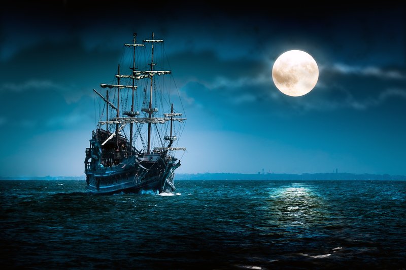PirateBotanical's tweet photo. Pirates are not born, they are made. Forge yourself with #piratall, #pirateblast, or #piratechill. Become who you were BORN to be. ☠️💪☠️

#piratebotanicals #supplement #supplements #cognitiveboost #mood #libido #pirate #pirateslife https://t.co/MeXvY2Wuyy