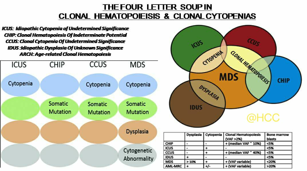 Icus Chip 🚩Clonal Hematopoiesis(CH) and Clonal Cytopenias(CC) are the new kids in ...