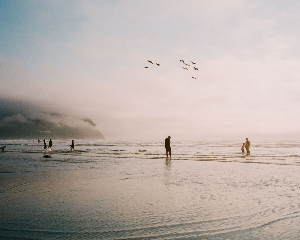 photobyantho's tweet photo. shorelines of the west coast, pt 2 🎞 https://t.co/i5JwrJJ2CF