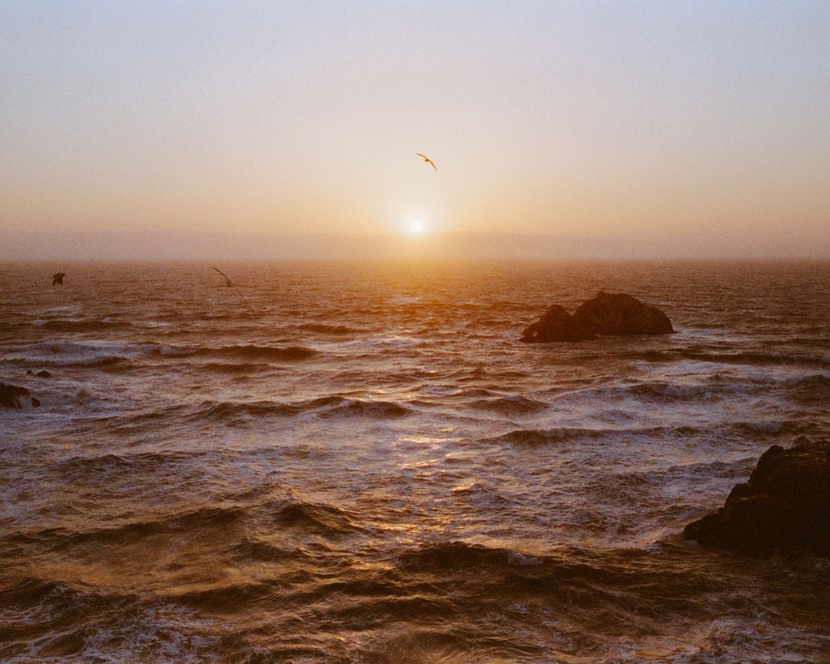 photobyantho's tweet photo. shorelines of the west coast, pt 2 🎞 https://t.co/i5JwrJJ2CF