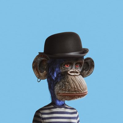 Leonardo husseini tweet media