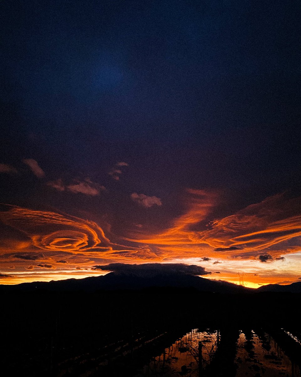 louislepron's tweet photo. jamais vu un coucher de soleil aussi beau 📸 https://t.co/gkQkc1wTri