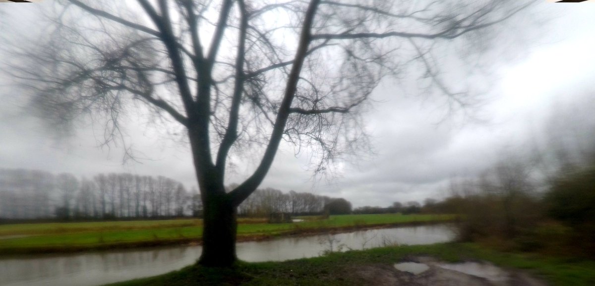 Stevie Joy #LCFC tweet media