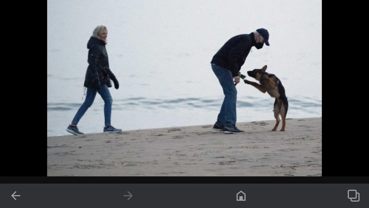 james77150662's tweet photo. Brain Dead Brandon Wears A Mask On The Beach C’mon Man Really!!  #MandatesSuck #LetsGoBrandon https://t.co/LJqS3WKJiO
