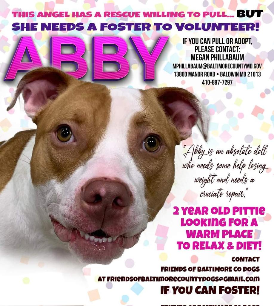 For Pitty's Sake (@for_pittys) on Twitter photo 