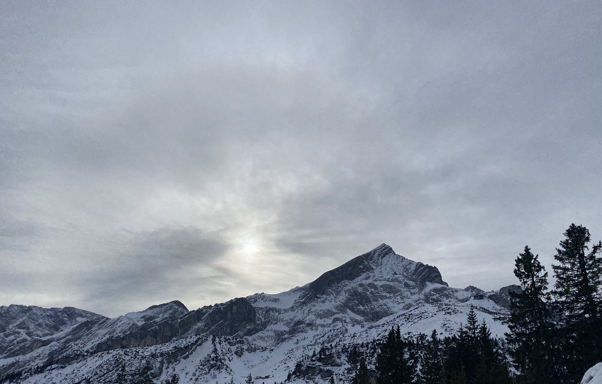 SebastianStoschek tweet media