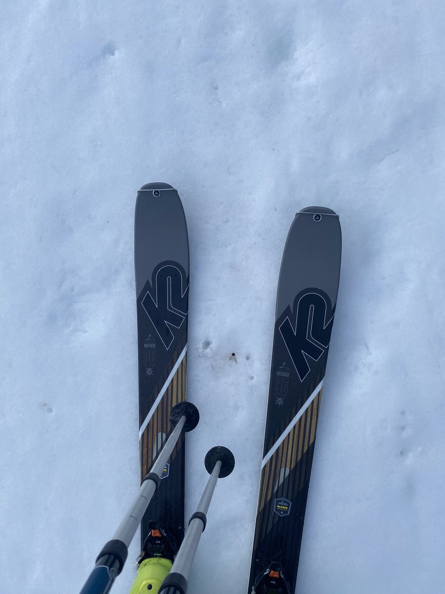 SebastianStoschek tweet media