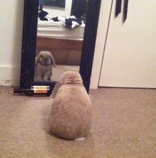 Does anyone else pack underwear for a trip like they're planning on