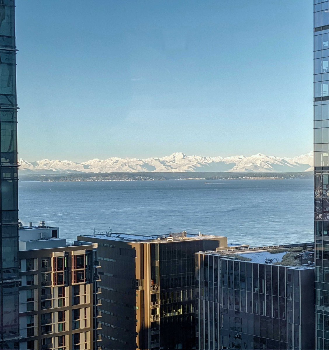 garyjokeeffe's tweet photo. The mountains are out. Happy New Year! #Seattle https://t.co/RcaxgRqMkP