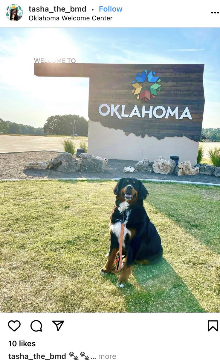 LtGovPinnell's tweet photo. We love seeing all the new (colorful) pics at our renovated Welcome Centers. The increased traffic is benefiting the state too- merch sales revenue is up 119 percent over FY20 YTD and up 247 percent over FY21 YTD. Self-sustaining and top notch branding, a win-win. #TravelOK https://t.co/wiFg0kCAqp