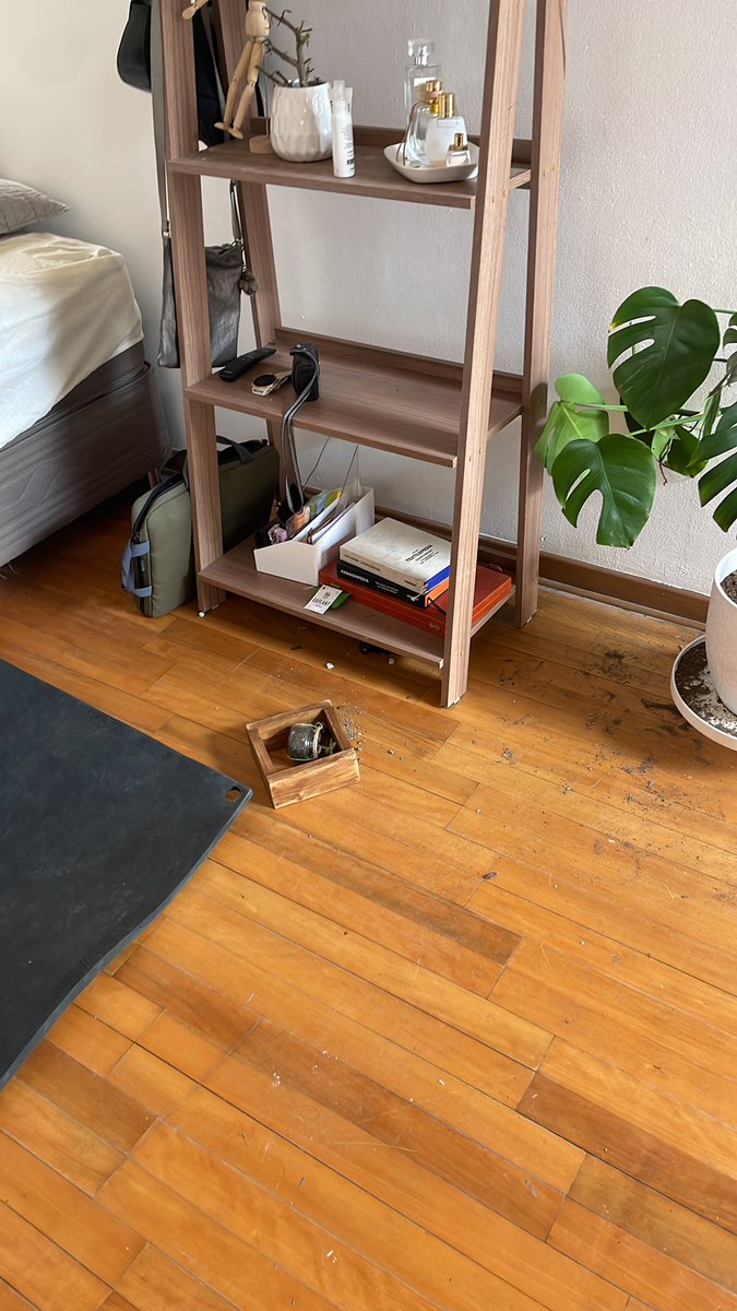 _mafoster's tweet image. 1 like y regalo a matisse