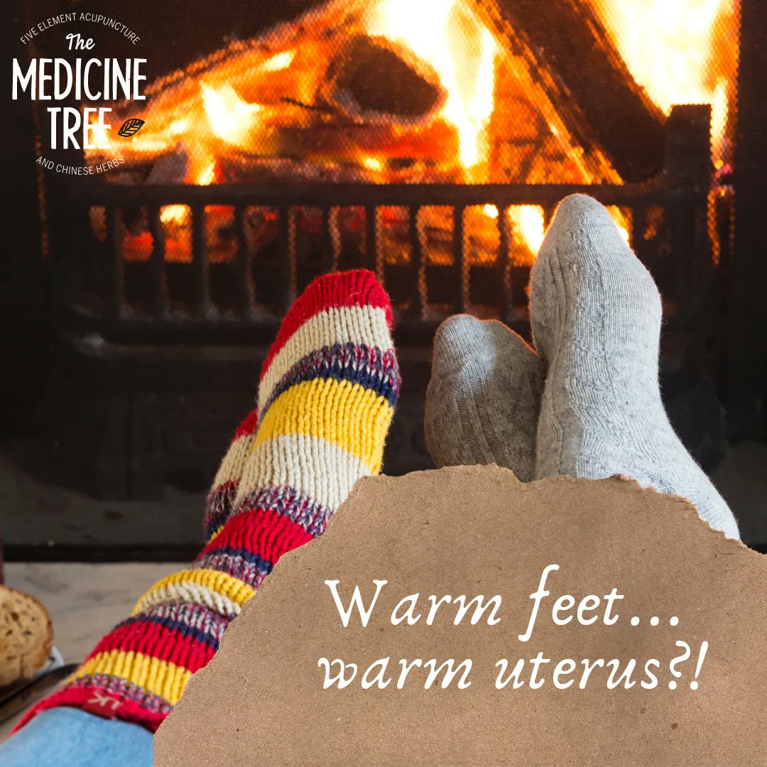 TheMedicineTree's tweet photo. Did you know there are meridians that start in the feet that connect to the female reproductive organs? It is said in Traditional Chinese Medicine that keeping your feet warm can help warm blood circulate freely throughout the body, which can promote fertility. #fertility https://t.co/SImMygigeW