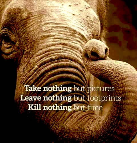 Julesk23's tweet photo. #KillNothingButTime https://t.co/8sgbRBDjyn
