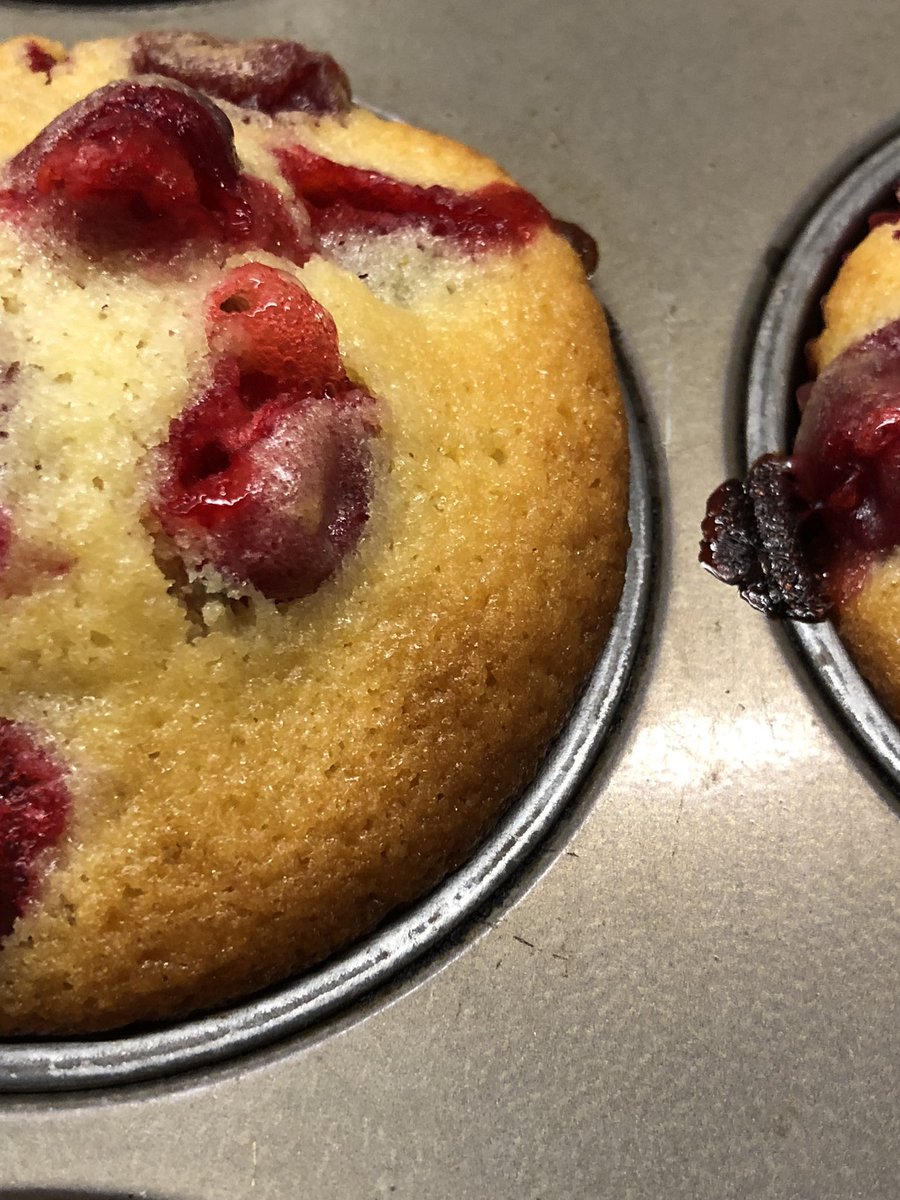 lifesafeast's tweet image. Cranberry muffins #IsolationBaking