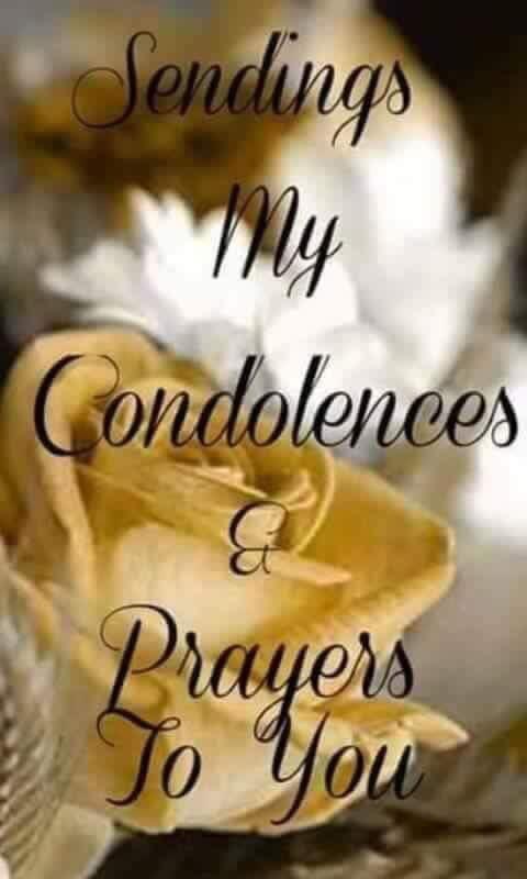BraveJayBear's tweet photo. @ALionsHeartz https://t.co/5O7n1ek9pO