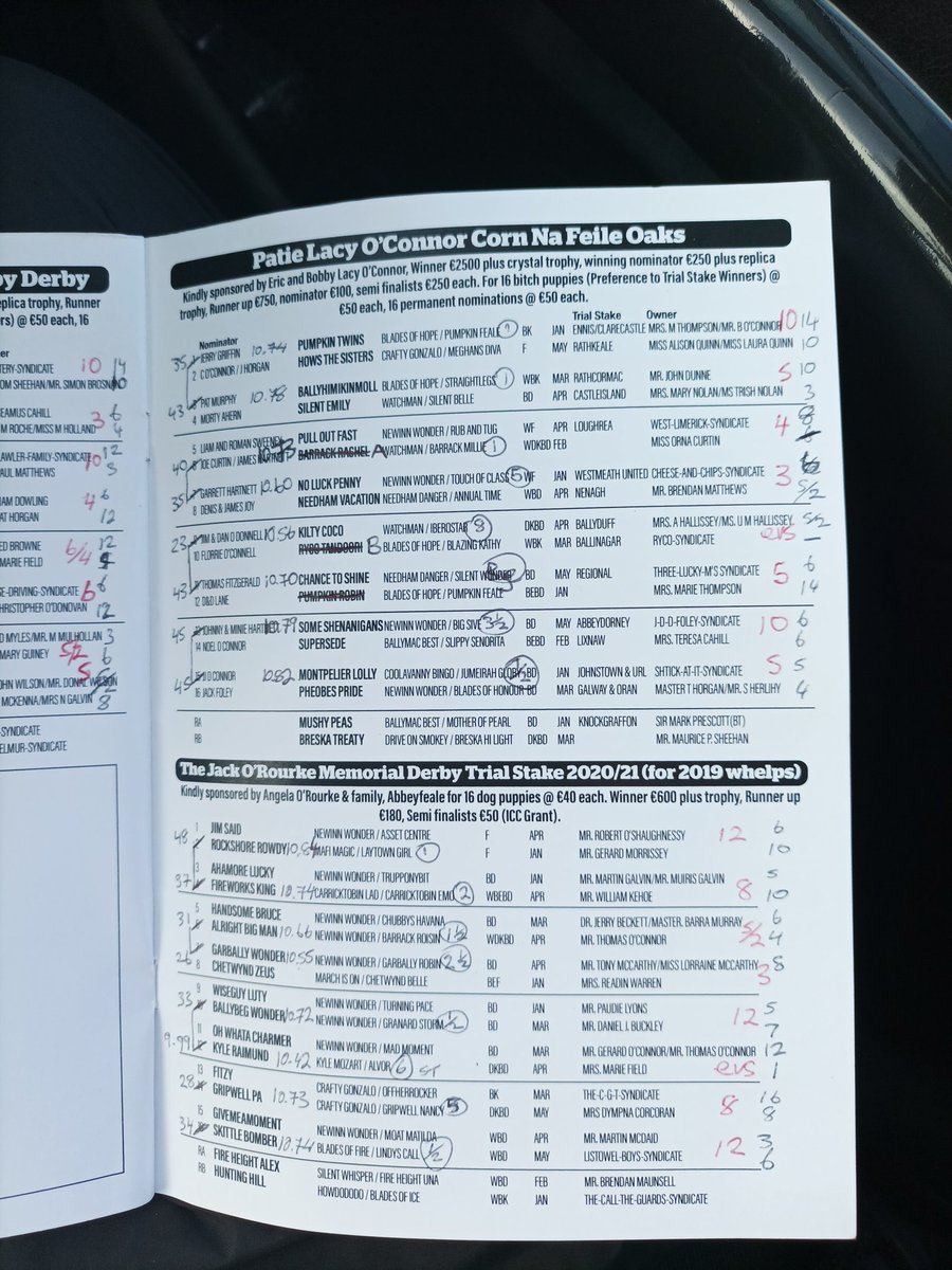 Jamesredcollar's tweet image. Abbeyfeale Day 1 with @betbrowne2015 prices for finals day
@BoylesportsDamo @TNolanScania @ballymacvic14 @Julieokeeffe97 @soliddemon @shanecurtin1 @jerroche @