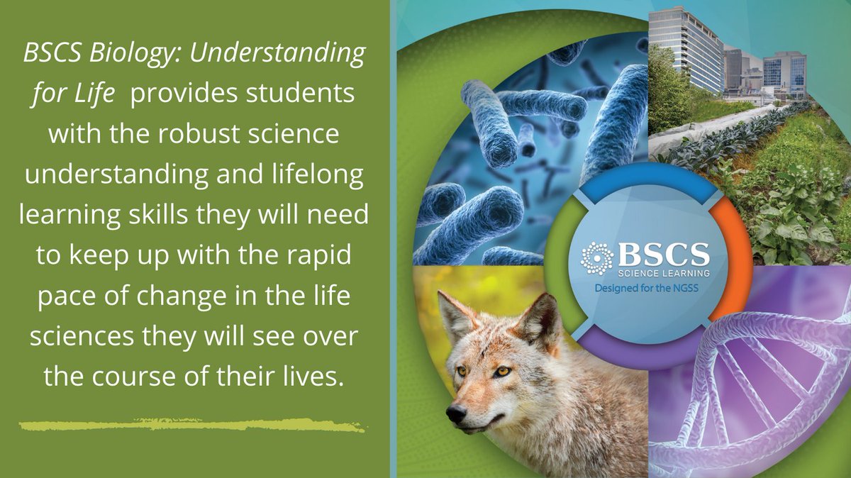 BSCSorg's tweet photo. NEW! BSCS Biology: Understanding for Life is the next generation high school biology program. Learn more here: https://t.co/nrOAiDn7Sg @KendallHuntK12 #biology #highschoolbiology #biologyteacher #inquirybased #NGSSed #STEMed https://t.co/7MNrPYsAPF