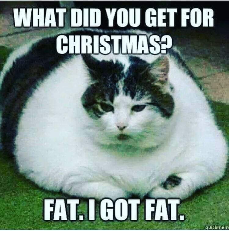 ca82767985's tweet photo. If u see me, I got fat..u don't have to tell me. I already know 🐽😫 https://t.co/fmlHSUc3wp