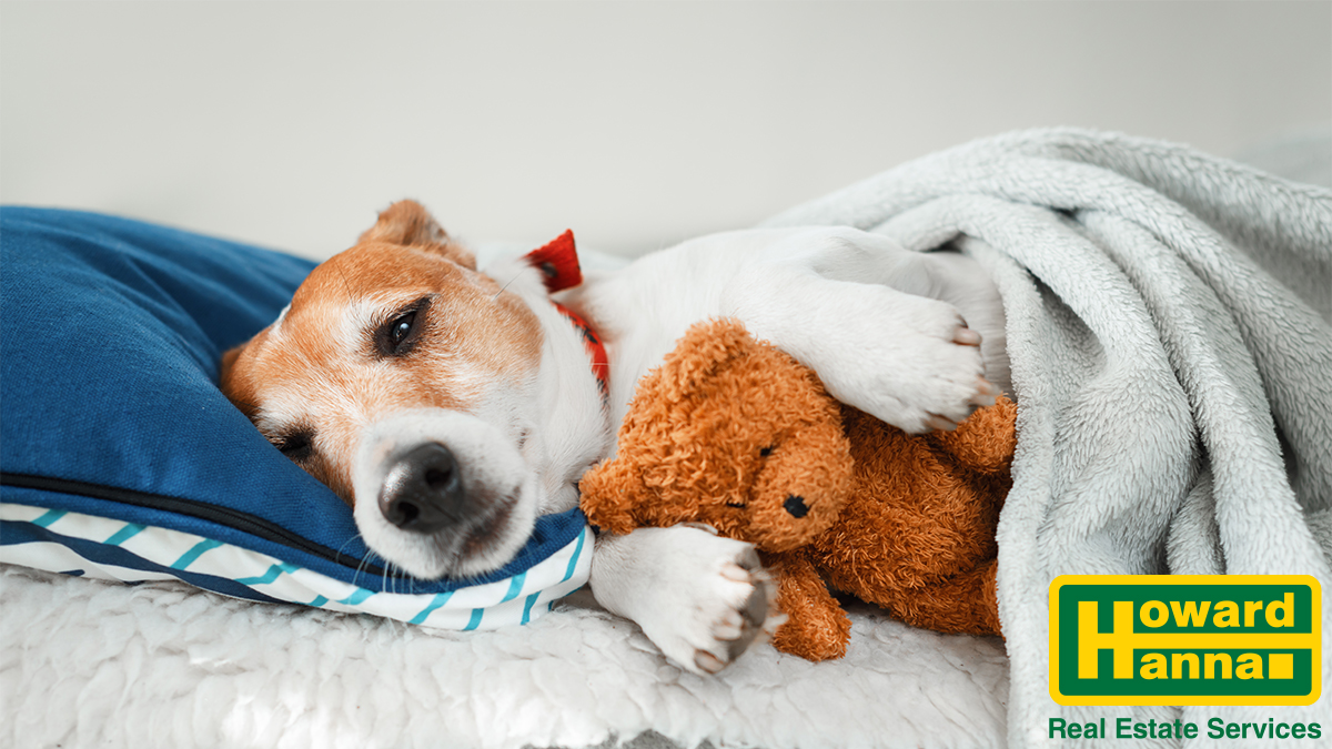 HowardHanna's tweet image. There's still time left in 2021 to find that new #home!  

Start your search online with Howard Hanna:  hubs.ly/Q011hnd50

#stilltimeleft #almostnewyear #HowardHanna #onlinehomesearch