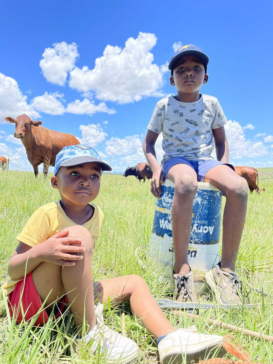 lomario86's tweet photo. The young farmers. https://t.co/d2EMmWrzVn