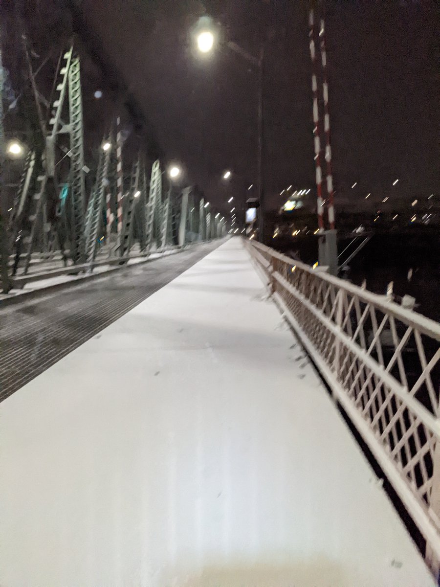 29F, light snow, got pooped on by a bird.... a totally glorious morning run