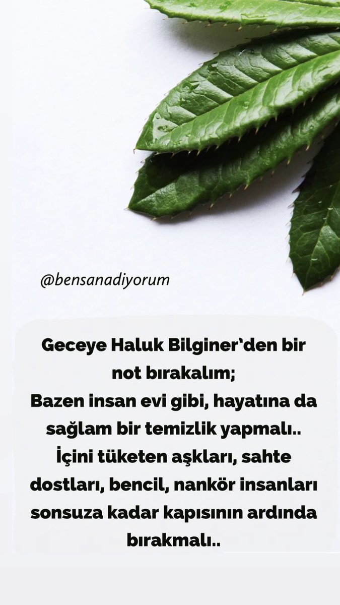 zeynepkrcca's tweet photo. Net https://t.co/YX6NOegSo7