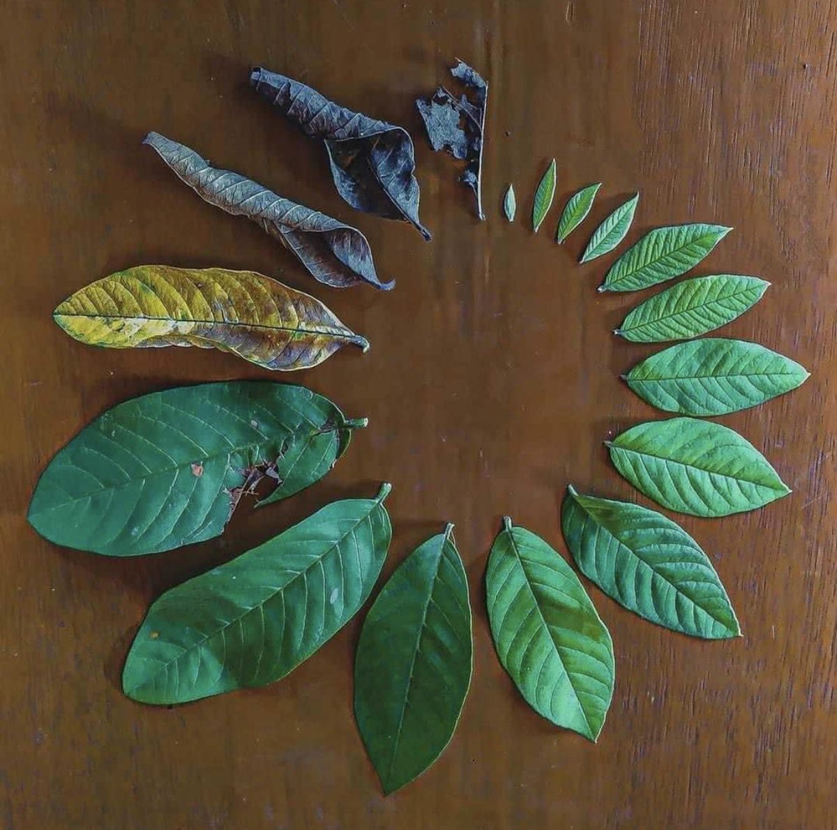 Que vous #inspire cette illustration ?
A vous!✍