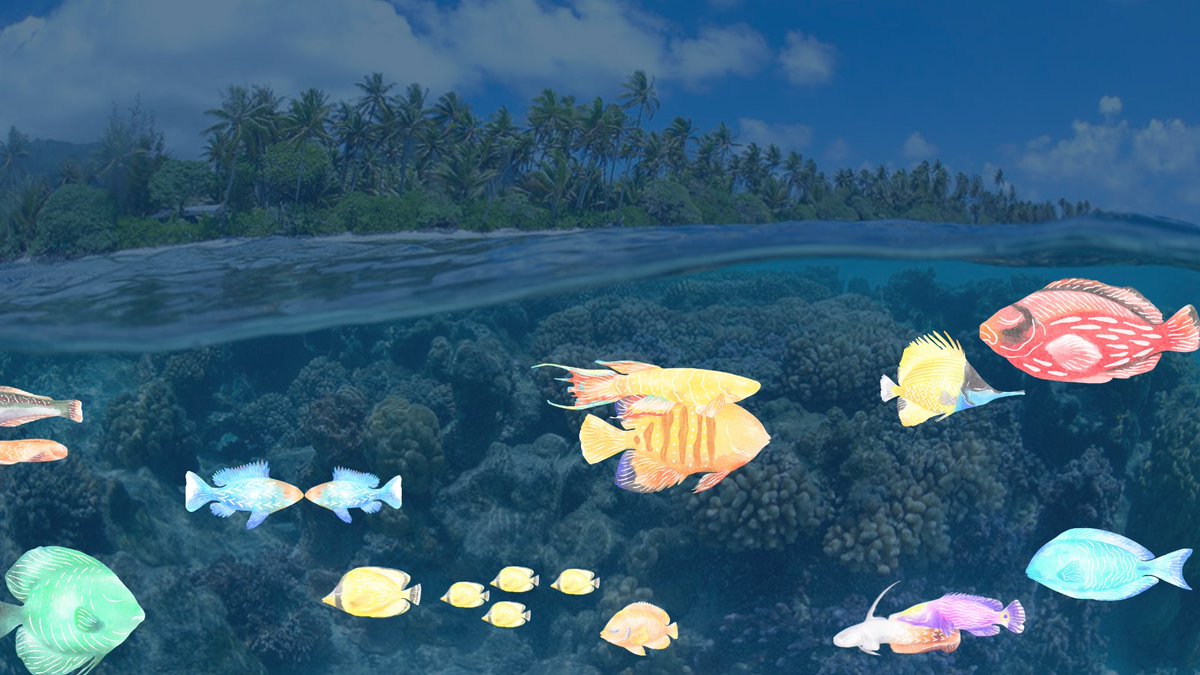 andradavulpee's tweet photo. 🌊Going back to the #Competition field
Just posted my first notebook on the @kaggle GreatBarrierReef competition containing:
🐡Video & BBox Exploration
🐡Image x BBox Augmentation
🐡@wandb tracking
📌Link: https://t.co/w6W0JSfeVG
#DataScience #ZbyHP #Z8Desktop https://t.co/6y60qBy6YY