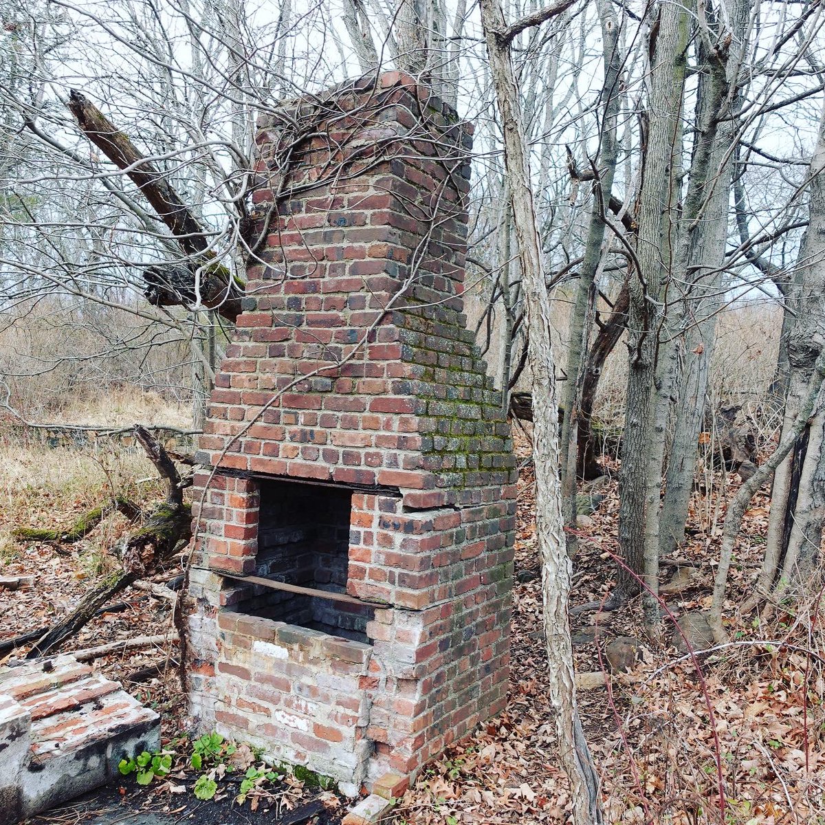 JenPalko's tweet photo. Skillman Park (formerly Skillman Village)
#roadstonowhere #chimneyinthewoods #abandoned #ominoustrees https://t.co/DuQfNBwc4y