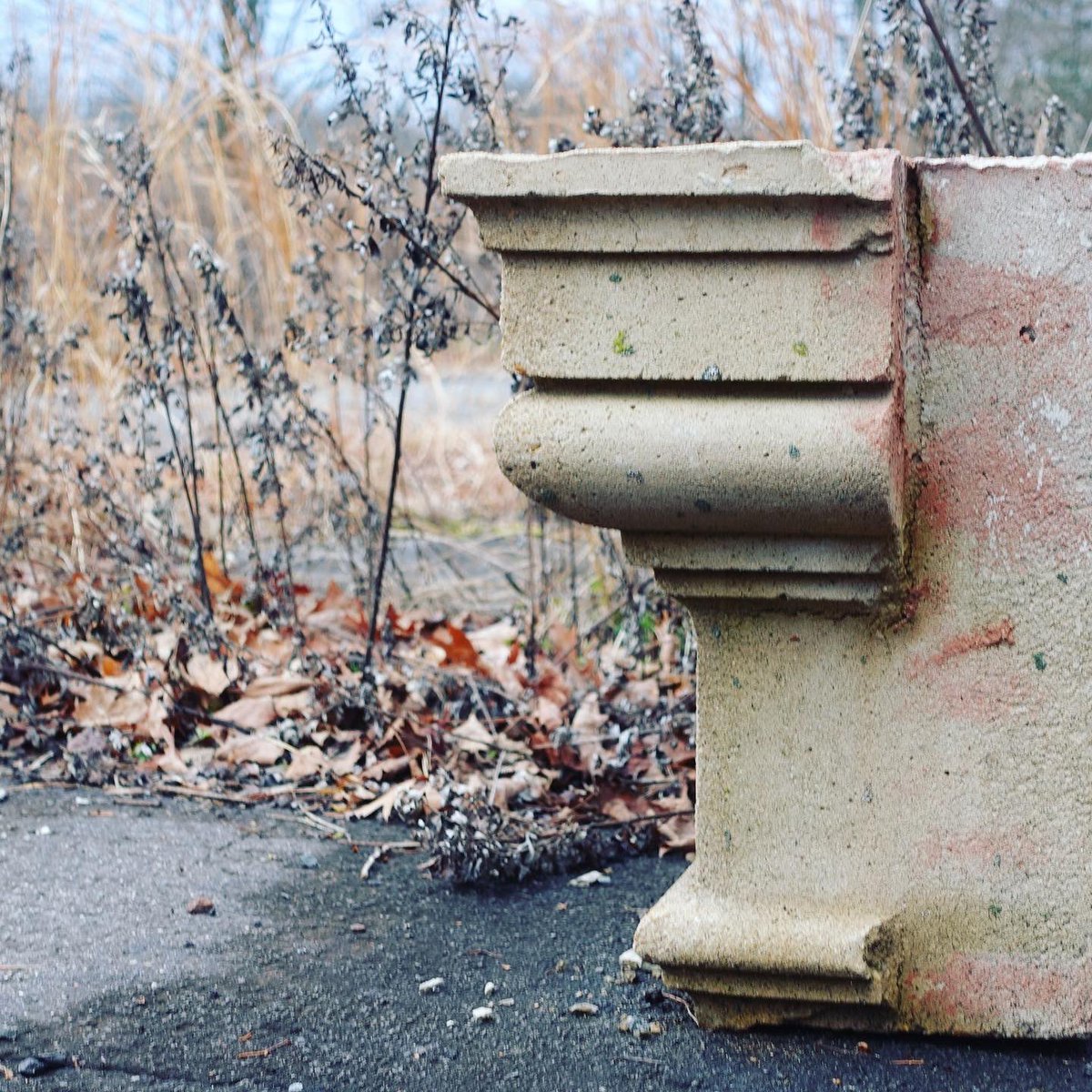 JenPalko's tweet photo. Skillman Park (formerly Skillman Village)
#roadstonowhere #chimneyinthewoods #abandoned #ominoustrees https://t.co/DuQfNBwc4y