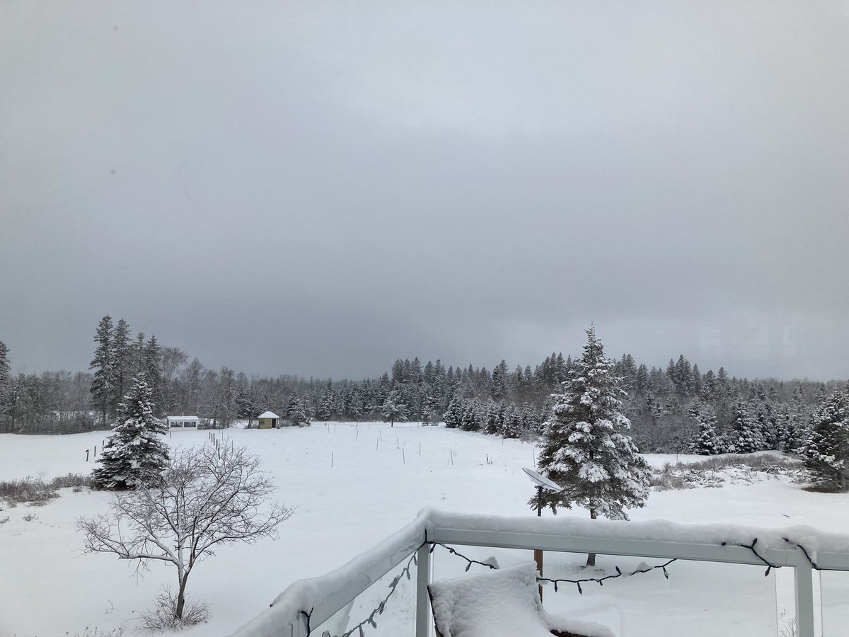 MaryEllen Ritchie tweet media