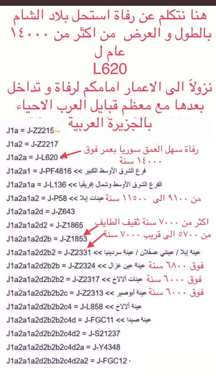 hanco911's tweet photo. @rashedalsafak63 @MKMA20202 @UaeAlameer @bloto123 @salman11122247 @0Khzsh @FahadShdid @Abdulhady333 @kwetaid @xxxasy2 @imqqn17 @fajnasar @faaq12 @AlenziTariq هنا الرفات يابو محمد يملأ بلاد الشام طولاً وعرضاً من اكثر من ١٤٠٠٠ الف سنة للتحور الحد لكل عرب السلالة جي١ المفحوص كربون ١٤ وعمره الجيني للتحور 
L620 فوق ١٤٠٠٠ سنة  
ناهيك عّن رفات كهف جورجيا الاقدم( حتى الان )بعمر ١٧٠٠٠ سنة  هنا  امتداد متصل طولاً و عرضاً يملأ العين والبصر 
يتبع https://t.co/0c67W4StR4