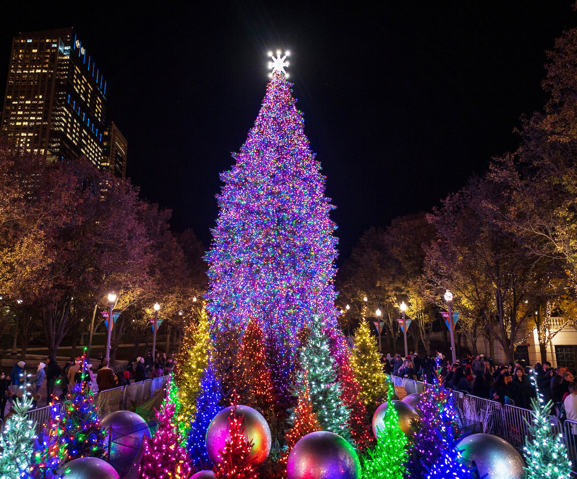 Chicago Christmas 2022 To Do Millennium Park On Twitter: "Reminder: The Chicago Christmas Tree Will Be  Lit Through Sunday, January 9Th. Come Visit And Get Your Selfies In While  You Still Can! #Chiholidays 🎄 Https://T.co/Ipg3Usjjxo  Https://T.co/Kgnhlhdbjp" /