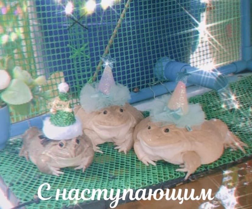 Яньфэй дорожит тобой! ушла (@yaanffei) on Twitter photo 