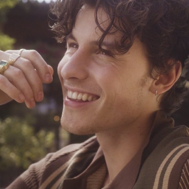 RAULFEATURES's tweet photo. shawn mendes has a smile that feels like home 🥰 https://t.co/riVtSnVAVD
