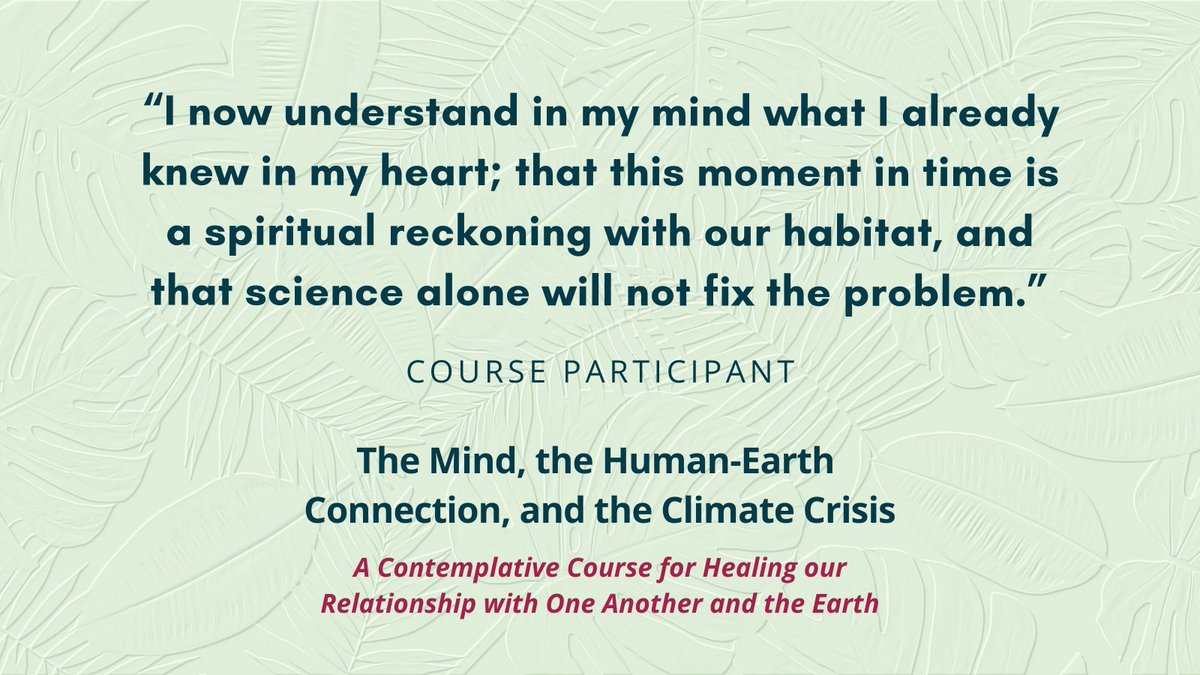 mindandlife's tweet photo. In our online course "The Mind, the Human-Earth Connection, and the Climate Crisis," you'll learn from 20+ leading experts from around the globe about the root causes of the #climatecrisis & strategies for healing ourselves and our #humanearthconnection 🌎 https://t.co/U4Z5bdf9zI https://t.co/1ErgQVsBVX