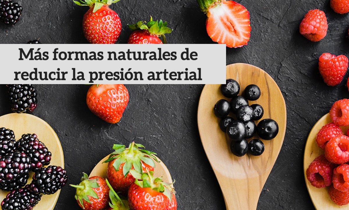 HippoHiveEs's tweet photo. Algunos consejos sobre formas naturales de mantener los vasos sanguíneos sanos y fuertes: https://t.co/Y4ig82v7as Conoce nuestro contenido: https://t.co/TDMYY4lVWB  
Inscríbete a nuestro Centro de Bienestar de Salud Virtual. https://t.co/Ciua0fs918   
#hippotechnologies https://t.co/k3WHW3pAu8
