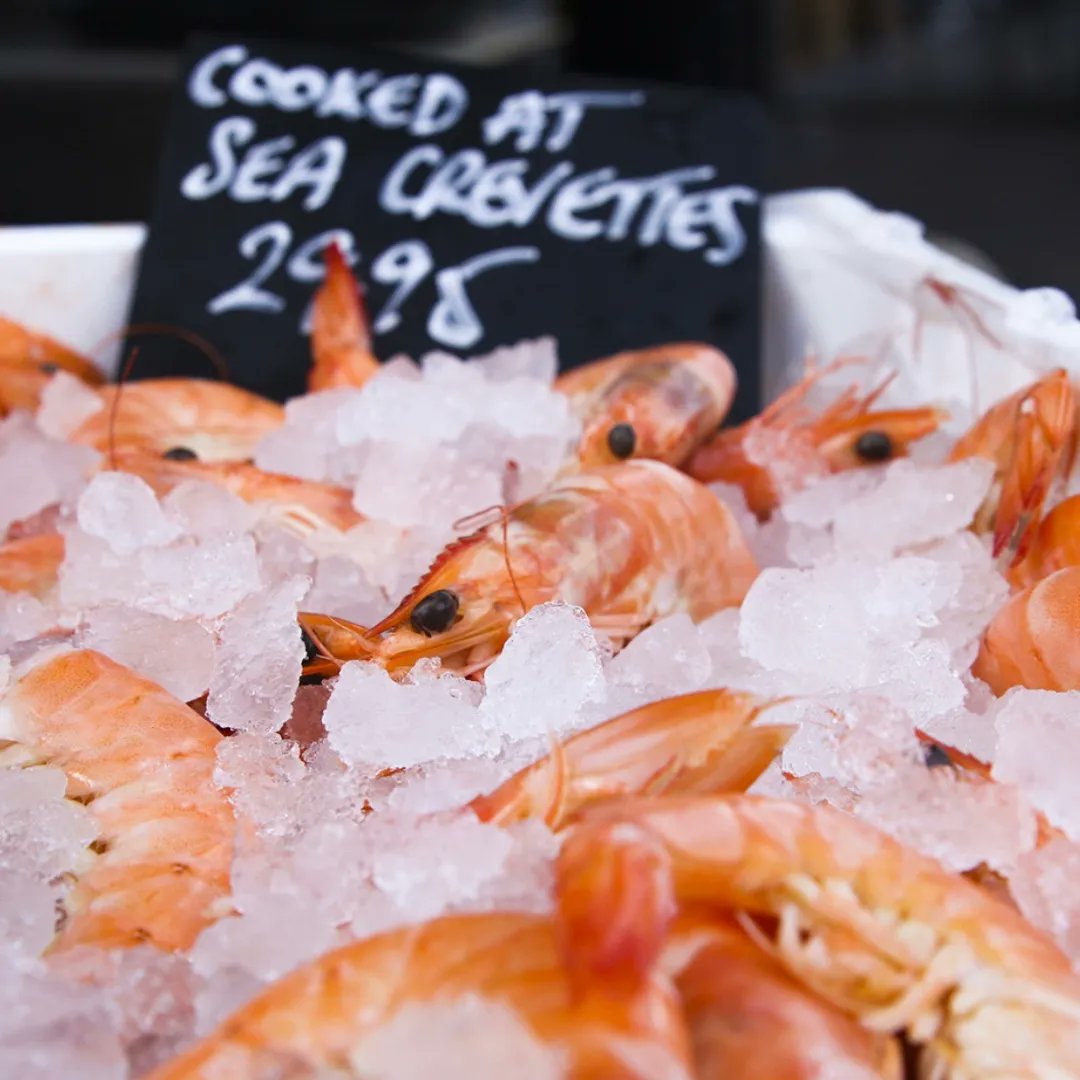 Our big brother @jarvisfishmonger has the highest quality seafood for you to enjoy this New Years Eve! Pop by the shop in Kingston or arrange a home delivery jarvis@fishkitchen.com 🦐

#fishborough #boroughmarketlondon #eatseafood #seafoodlove #fishrestaurant #londonfoodie