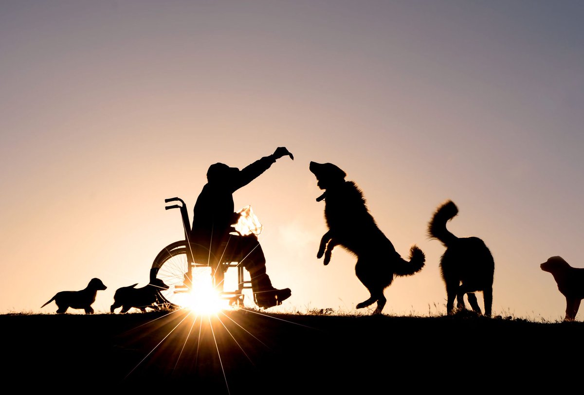 Do you appreciate our educational programs and services that increase public understanding of biomedical research? If so, we hope you will consider a gift before AMP’s Fall Fundraising Season comes to an end on January 31. Just click this link to give: ow.ly/3jTA50HfF1b