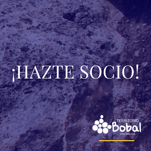 Trabajemos juntos para que nuestra cultura milenaria impulse nuestro futuro. #TerritorioBobal my.mtr.cool/licrteskap