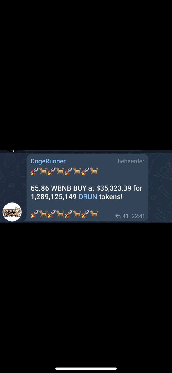 alex_ramsden1's tweet photo. @DjPrestigeUk DOGERUN NOT BULLRUN! Next P2E moonshot https://t.co/N9NvfgU2YQ
