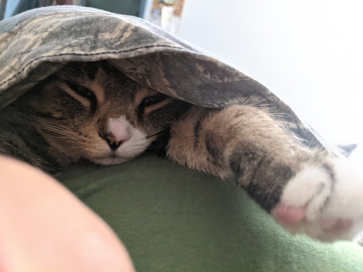 mschoechemistry's tweet photo. Mfw I have to tidy up and do laundry while I'm sick. https://t.co/6CgvkyPzoy