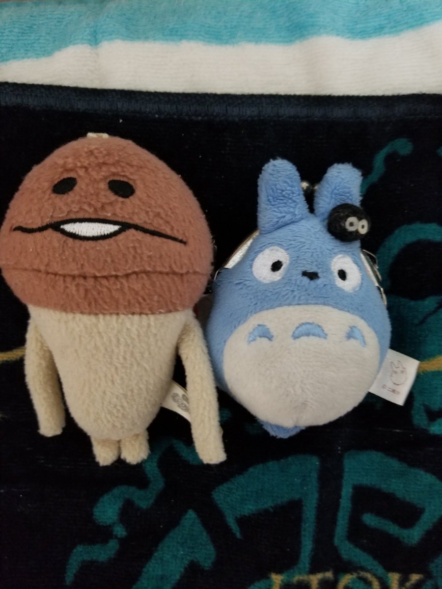 izumin0819's tweet photo. 先週いなくなったトトロさんが見つかりました(´TωT｀)
各鉄道会社の皆様、届けてくださった方、本当にありがとうございました！
こんなちっこい子を落し物として届け、そして持ち主が現れるまで大切に預かってくださって感謝でいっぱいです。
また会えて本当に嬉しい！！
#トトロ https://t.co/dsHyymgnoo